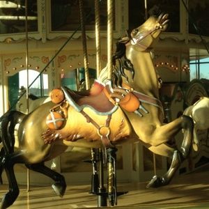 Meet your Posher, Lorrie